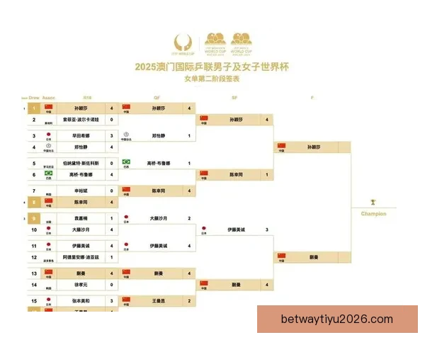 2026年世界杯赛果全览及各场比赛比分详细汇总